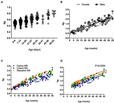 Clinical and Immunological Metrics During Pediatric Rhesus Macaque Development